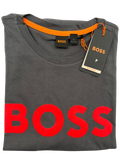 PLAYERA BOSS THINKING 1 GRIS