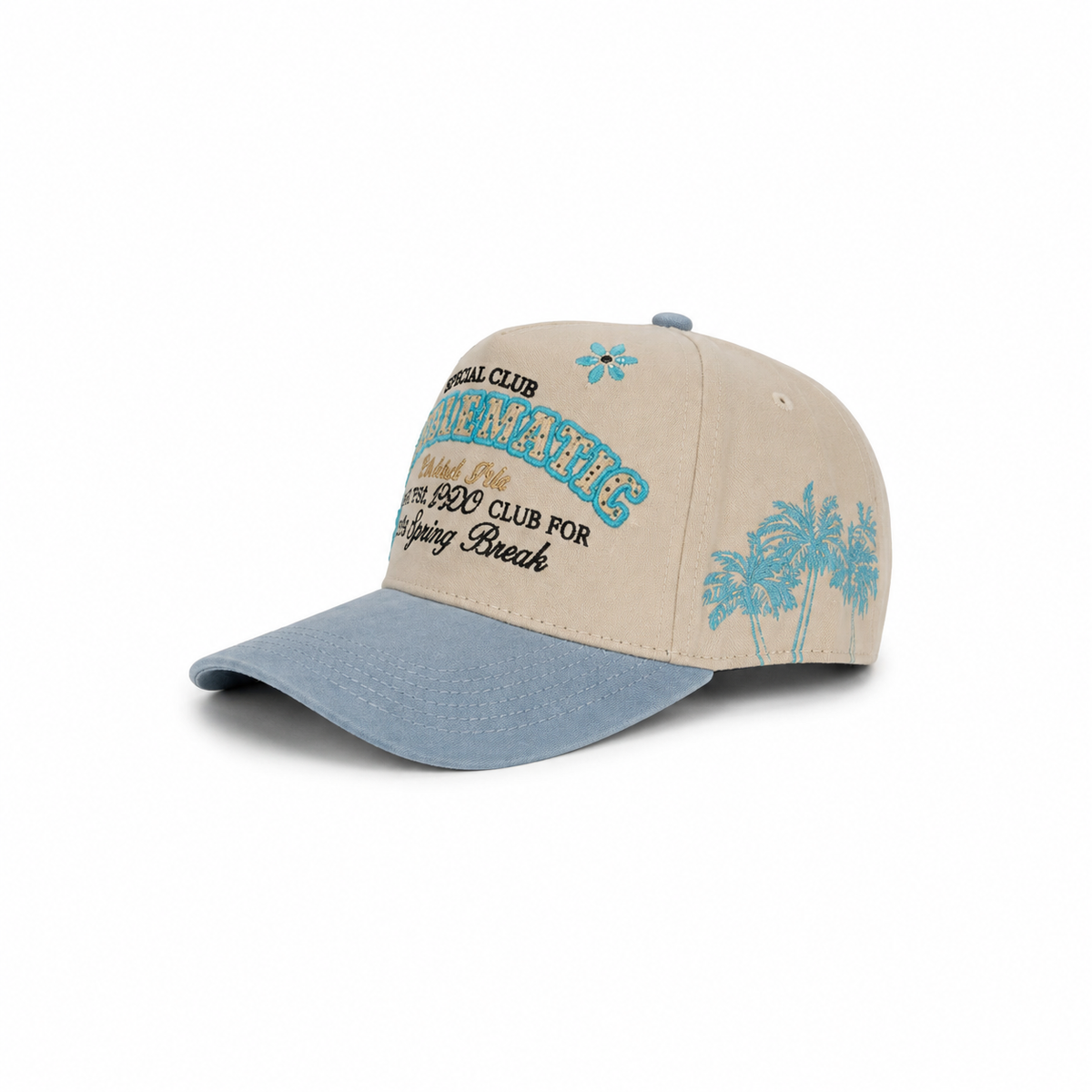 Problemático Distrito PDC – Gorra con Bordado