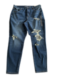 PANTALON AE CURVY HI-RISE JEGGING M 2918